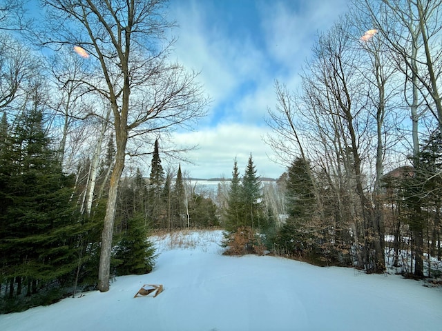 view of yard layered in snow