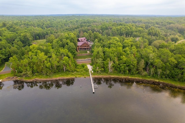 birds eye view of property featuring a water view and a view of trees