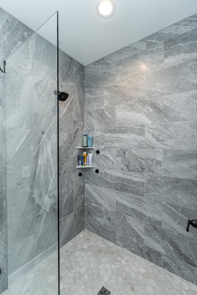 1676 Brandt Dr NE, Byron, MN 55920 - full bath with a walk in shower