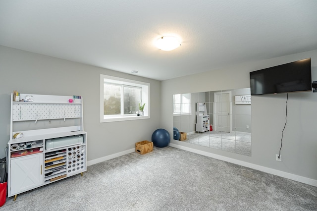 1676 Brandt Dr NE, Byron, MN 55920 - workout area featuring baseboards and carpet floors