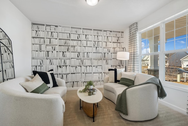 living area featuring baseboards