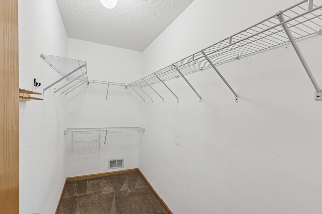 walk in closet featuring carpet flooring and visible vents