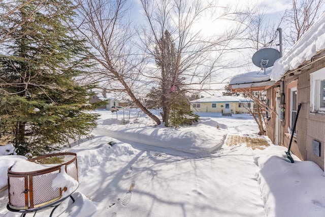 view of yard covered in snow