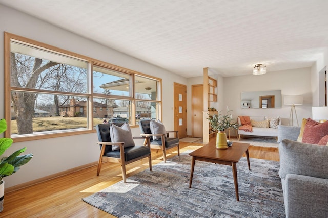 living room with baseboards and wood finished floors