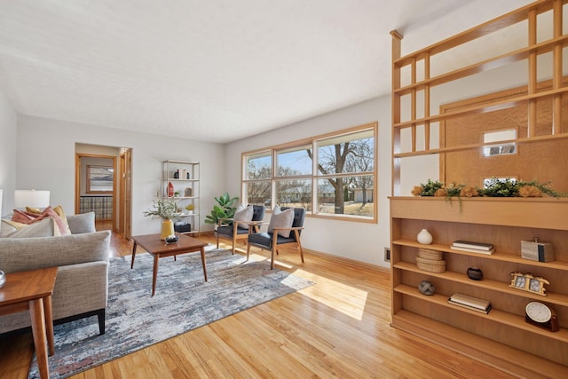 living area with wood finished floors