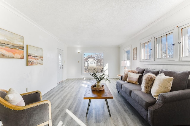 living room featuring a textured ceiling, wood finished floors, and crown molding