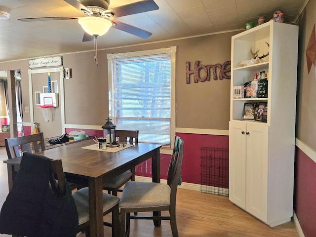 dining area featuring light wood-type flooring, crown molding, baseboards, and ceiling fan