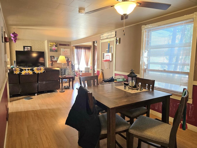 dining room with ceiling fan and light wood-style flooring