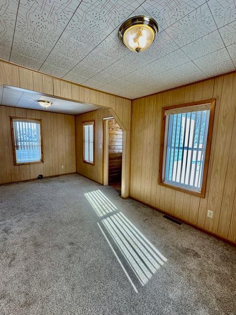 unfurnished room featuring carpet, a healthy amount of sunlight, visible vents, and wood walls