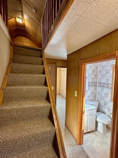 staircase with wooden walls