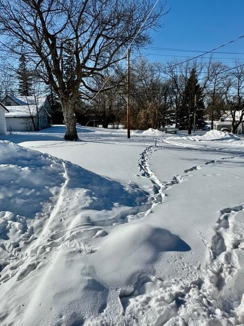 view of yard covered in snow