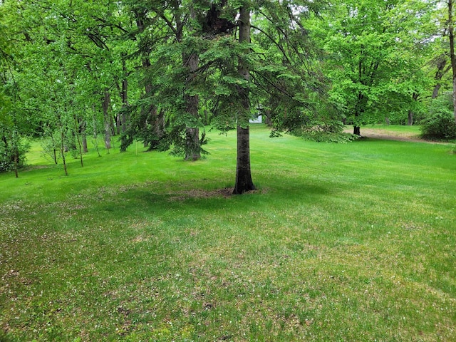 1500 US Highway 10 E, Detroit Lakes, MN 56501