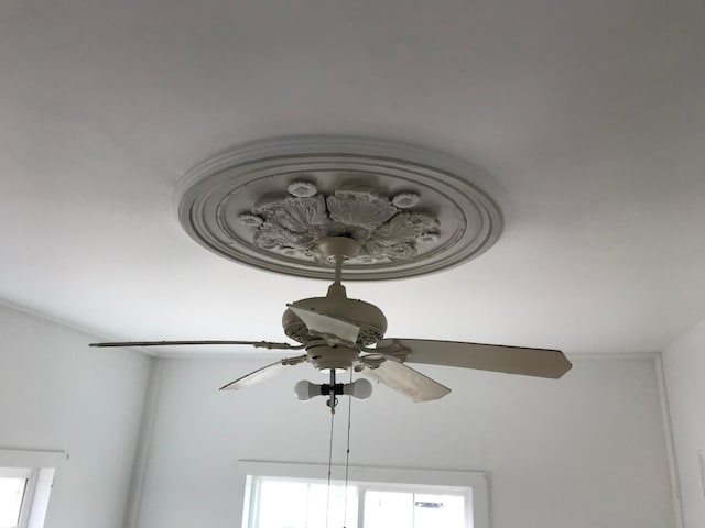 interior details with ceiling fan