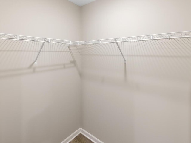 walk in closet with wood finished floors