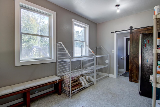 miscellaneous room featuring carpet, a barn door, and baseboards