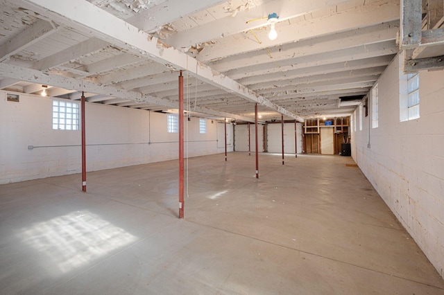 basement with concrete block wall