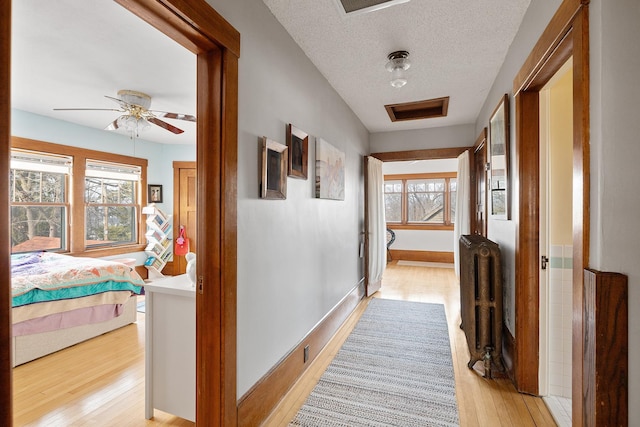 hallway with a textured ceiling, radiator heating unit, plenty of natural light, and light wood-style flooring