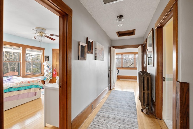 201 2nd St, Excelsior, MN 55331 - hallway featuring light wood-type flooring, plenty of natural light, baseboards, a textured ceiling, and radiator heating unit