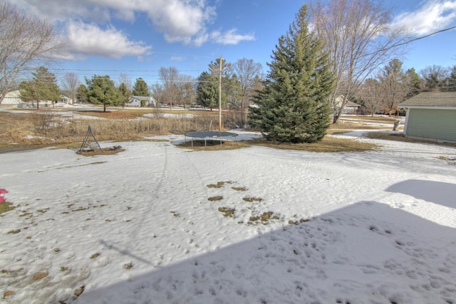 view of yard with a trampoline