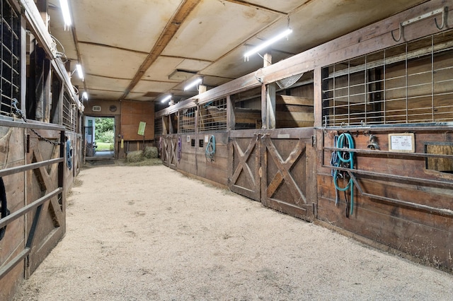 view of horse barn