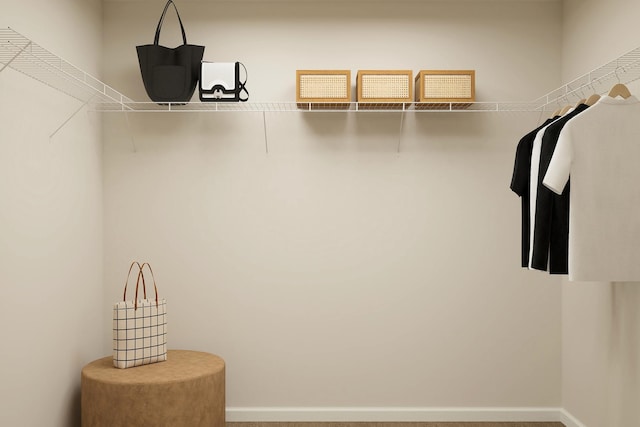 view of walk in closet