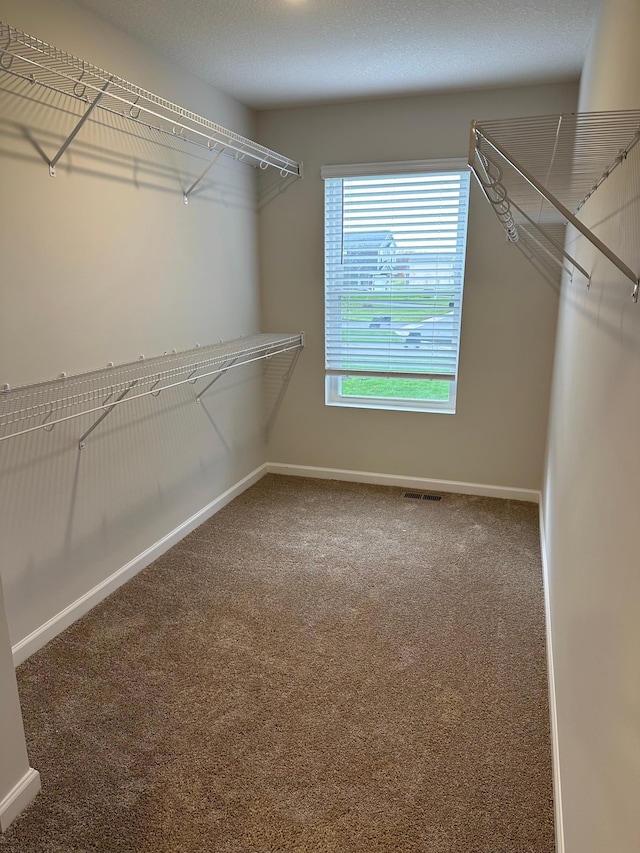 walk in closet featuring carpet flooring and visible vents