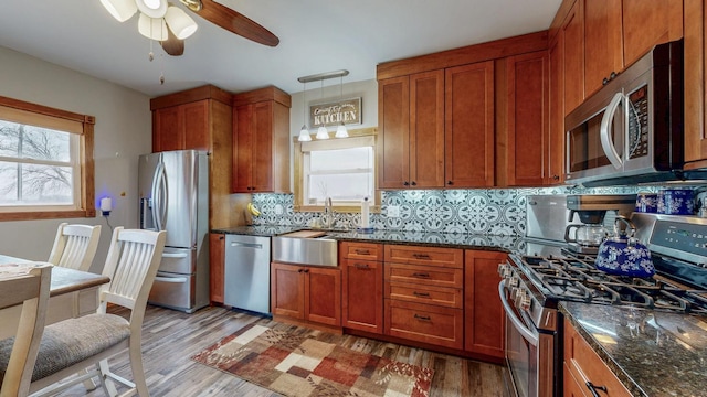 38184 County 47th Blvd, Goodhue, MN 55027 - kitchen featuring appliances with stainless steel finishes, a sink, ceiling fan, and light wood-type flooring
