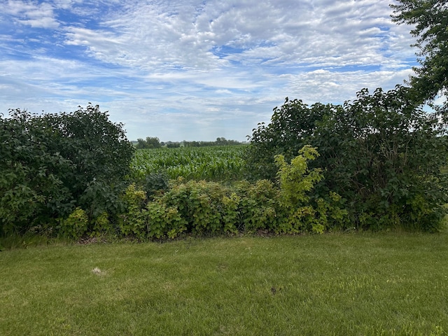 38184 County 47th Blvd, Goodhue, MN 55027 - view of yard