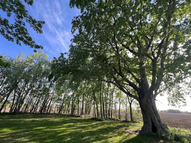 38184 County 47th Blvd, Goodhue, MN 55027 - view of grassy yard