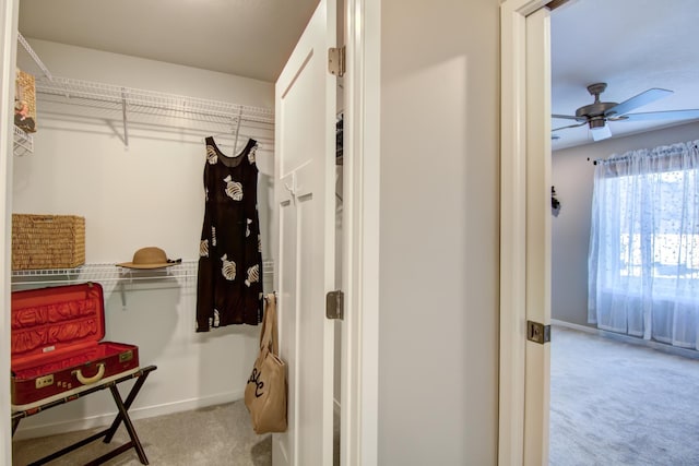 walk in closet featuring light carpet and ceiling fan