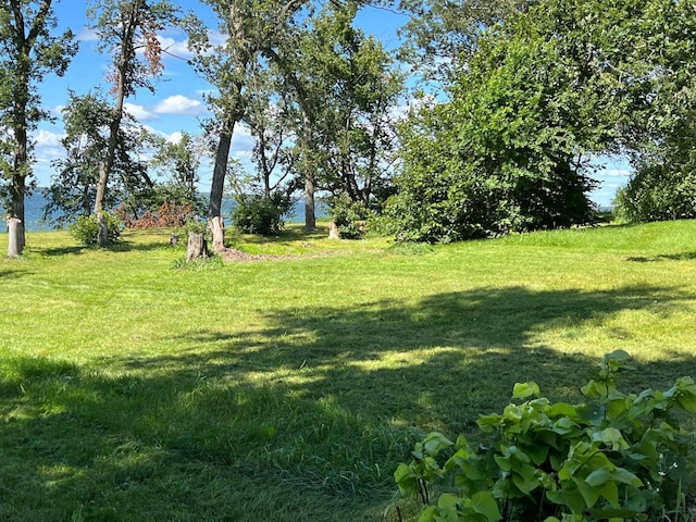 TBD Wavefront Dr, Battle Lake, MN 56515