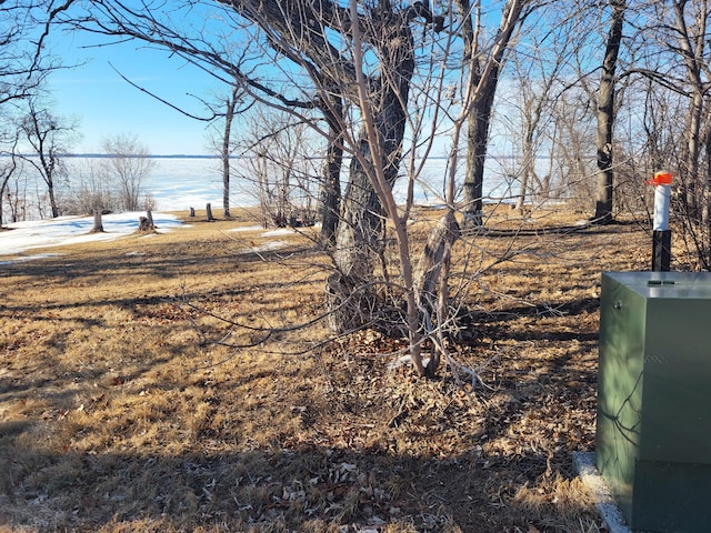 TBD Wavefront Dr, Battle Lake, MN 56515
