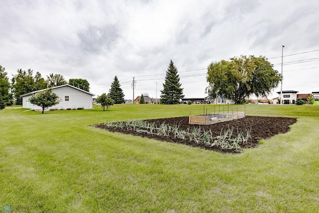 view of yard with a garden