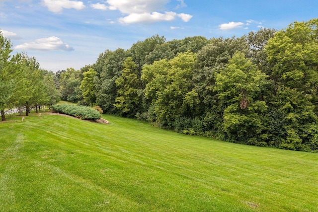 view of yard featuring a forest view