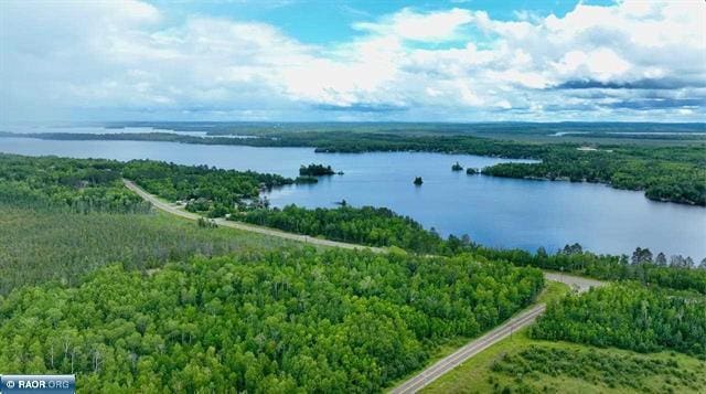 TBD Fectos Road, Tower MN, 55790 land for sale