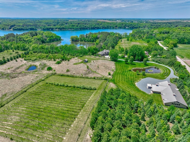 795 140th Ave, New Richmond, WI 54017 - bird's eye view of a large body of water and a heavily wooded area
