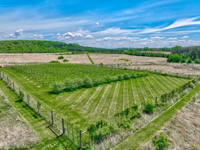 795 140th Ave, New Richmond, WI 54017 - view of rural area featuring large plots for crops
