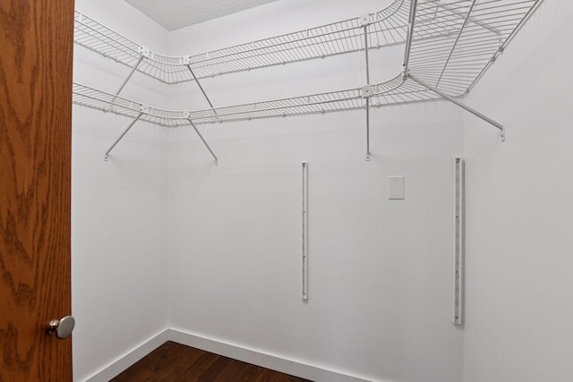 spacious closet featuring dark wood-type flooring