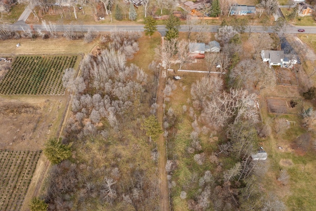 bird's eye view featuring a rural view