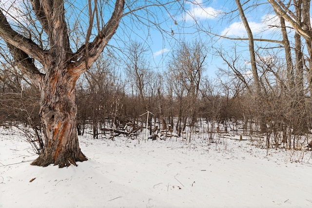 view of yard layered in snow