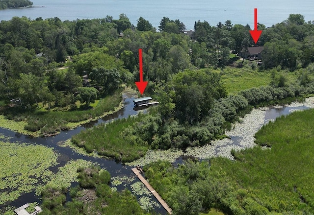 bird's eye view with a water view and a wooded view