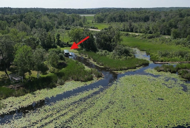 drone / aerial view featuring a water view and a view of trees