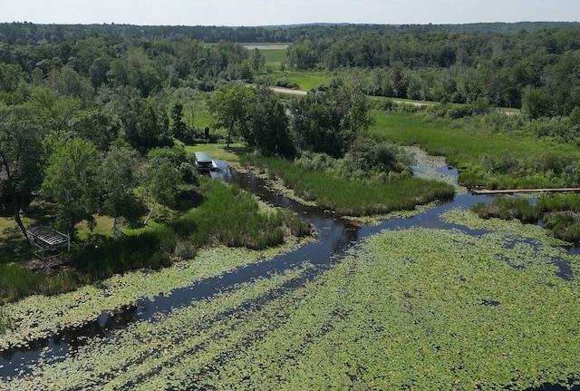 aerial view with a water view and a forest view