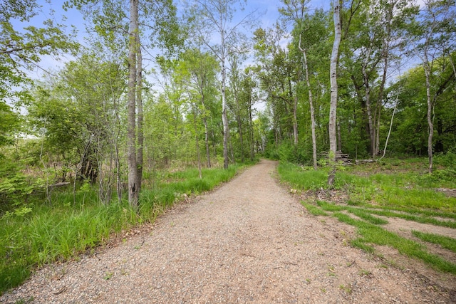 29235 Piney Way, Breezy Point, MN 56472 - view of road with a wooded view