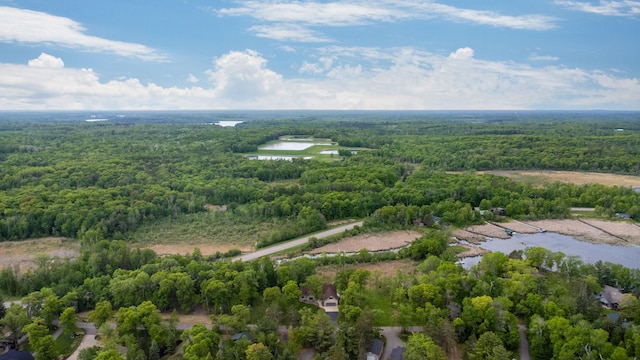29235 Piney Way, Breezy Point, MN 56472 - bird's eye view of a heavily wooded area and a large body of water