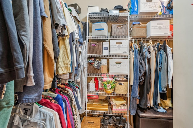 view of spacious closet