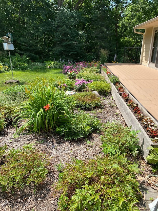 view of yard featuring a deck