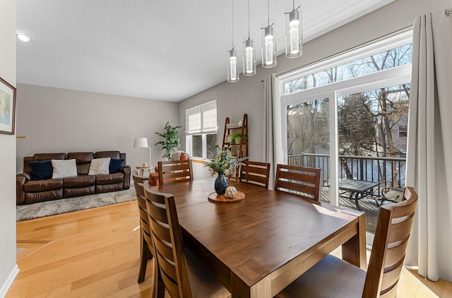 dining area featuring a textured ceiling and wood finished floors