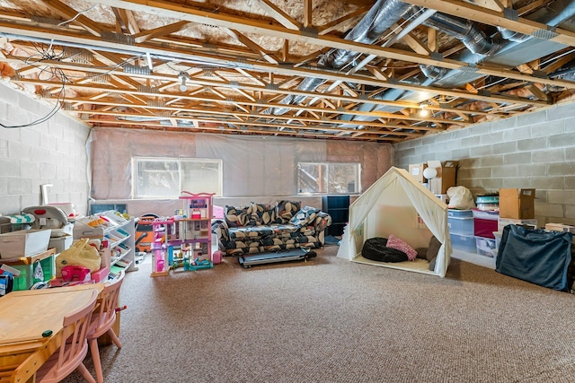 basement with concrete block wall