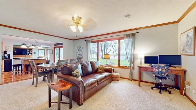 carpeted living area featuring crown molding, a ceiling fan, and baseboards